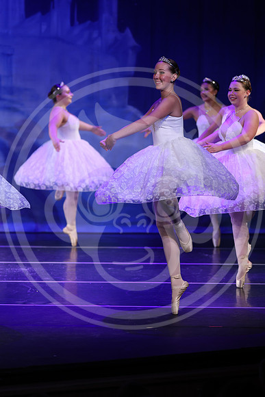 R1_11386
