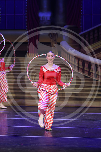 R1_13166