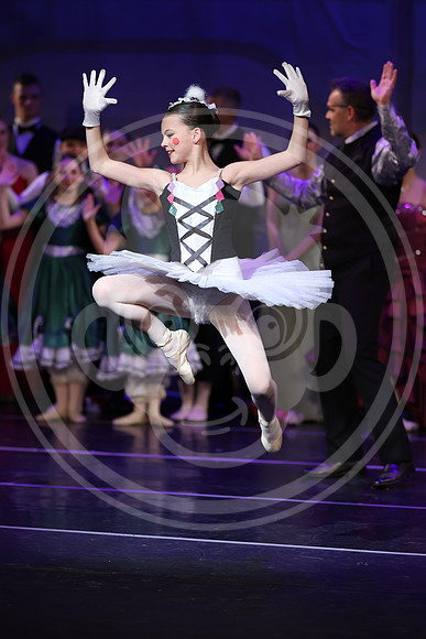 R1_20452