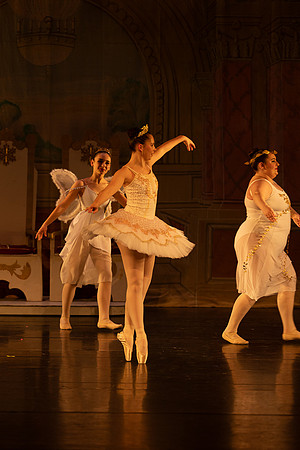 R1_12540
