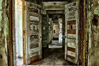 An Insane Asylum